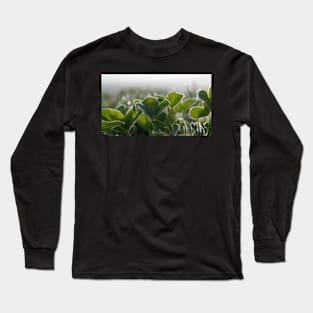 Frost Covered Clover Long Sleeve T-Shirt